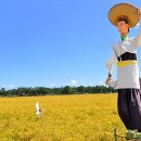 허수아비 이미지