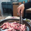 다와 생오리 이미지