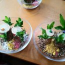 연풍1리 이미지