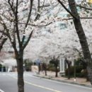 송도우리공인중개사사무소 이미지