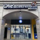 올리스24(세종점) 이미지