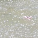 개포이레공인중개사사무소 이미지