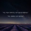 비터스위트 이미지