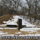 운성부원군 묘 이미지