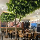 남포동직화쭈꾸미 법원점 | [평택 맛집]남포동 직화 쭈꾸미 | 내돈내산 | 치즈쭈꾸미 맛집