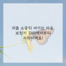 잠실보청기
