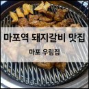 우물집돼지갈비 | [마포역] 가족 외식으로 가기 좋은 마포역 먹자골목 돼지갈비 맛집 추천 ‘우림집돼지갈비’