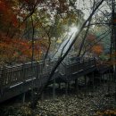 용산구 시민건강관리센터 이미지