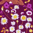 판교초등학교 이미지