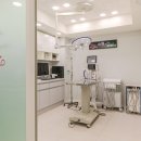 원성준영상의학과동물병원 | 인천 가좌동 동물병원에서 전하는 스케일링 고민될 때 : '입냄새'로 시작되는 치과질환 이야기