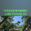 무위자연-태양 네이버블로그