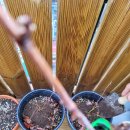 이레축산 이미지