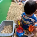 대구시티아울렛쌤소나이트 | 대구 아기랑 키즈카페 타요키즈카페 현대시티아울렛대구점 18개월 아기 이용 후기