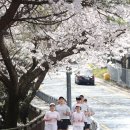 선라이즈서울