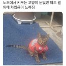 경은 이미지
