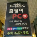 곰팅이 PC 이미지