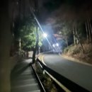 형제사슴목장 이미지