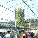 삼삼오오농장 이미지