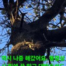 산도라지 산행.171 (선객과 수확찔금) 이미지