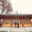 단미스냅