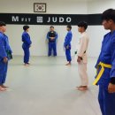 엠핏유도관 이미지