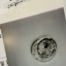 창동메디컬약국 이미지