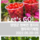 명지리앵두마을 이미지