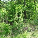 설악농장 이미지