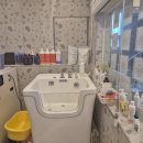 강아지 호텔 이미지