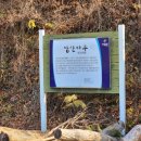 사마루영농조합법인 네이버블로그