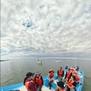 바하캘리포니아 | 바하 캘리포니아(BCS)의 San Ignacio lagoon 귀신고래 여행기 3rd : 산 이그나시오 호수의 귀신 고래들...