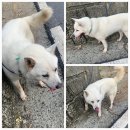 광무북1길 이미지