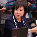 손혜원 의원 투기 의혹에 대해서