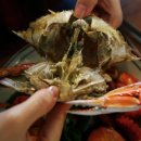 하도탐나 이미지