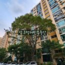 신현대부동산중개법인 이미지