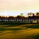 샤인빌파크 컨트리클럽 이미지