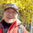 고릴라당구장 이미지