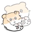 (주)강아유 이미지