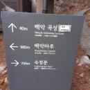 곡성-026 티스토리