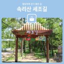 경북 상주 솔밭 보라색 맥문동여행 - 국립공원 속리산 법주사 솔향공원 버스트래킹- 스카이바이크 체험여행 이미지