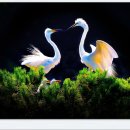 서천읍사무소 이미지