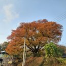 병천아우네순대 - 충주시 무학천변길 92 | 병천아우네순대