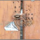 아침 사진 산책 2025. 6. 13 이미지