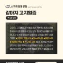 광진동물병원 이미지