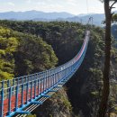 출렁다리(5) 이미지