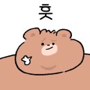 스카이동물병원 이미지