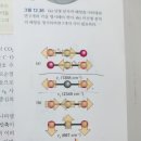 CO2의 기준 방식 이미지