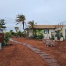 무릉초등학교 | [제주도 서귀포시] 초콜릿 박물관