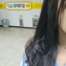 야무진태권도 | 2510_일상.zip