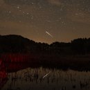 CW-1861-01 이미지